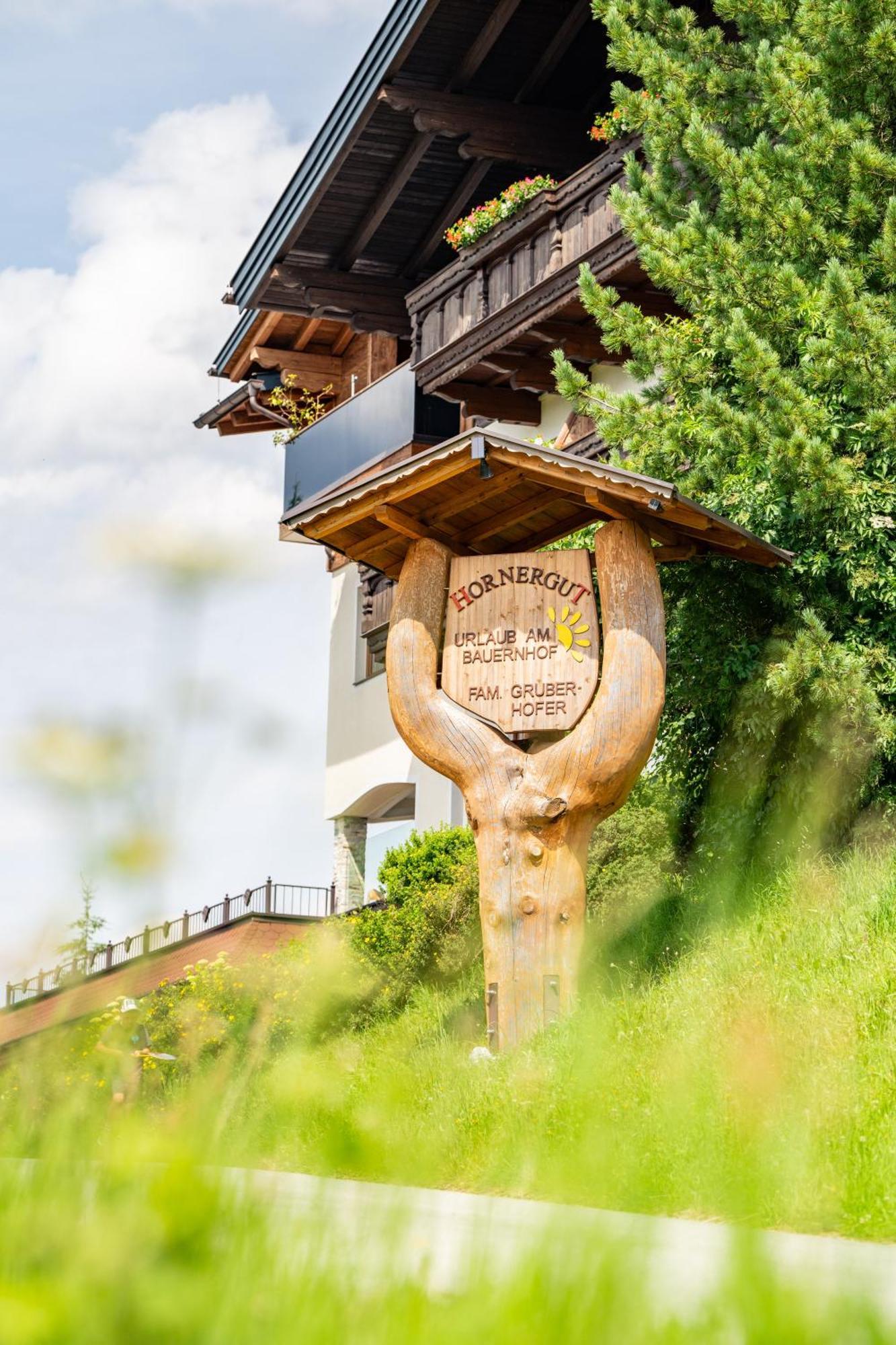 Hornergut Lägenhet Altenmarkt im Pongau Exteriör bild