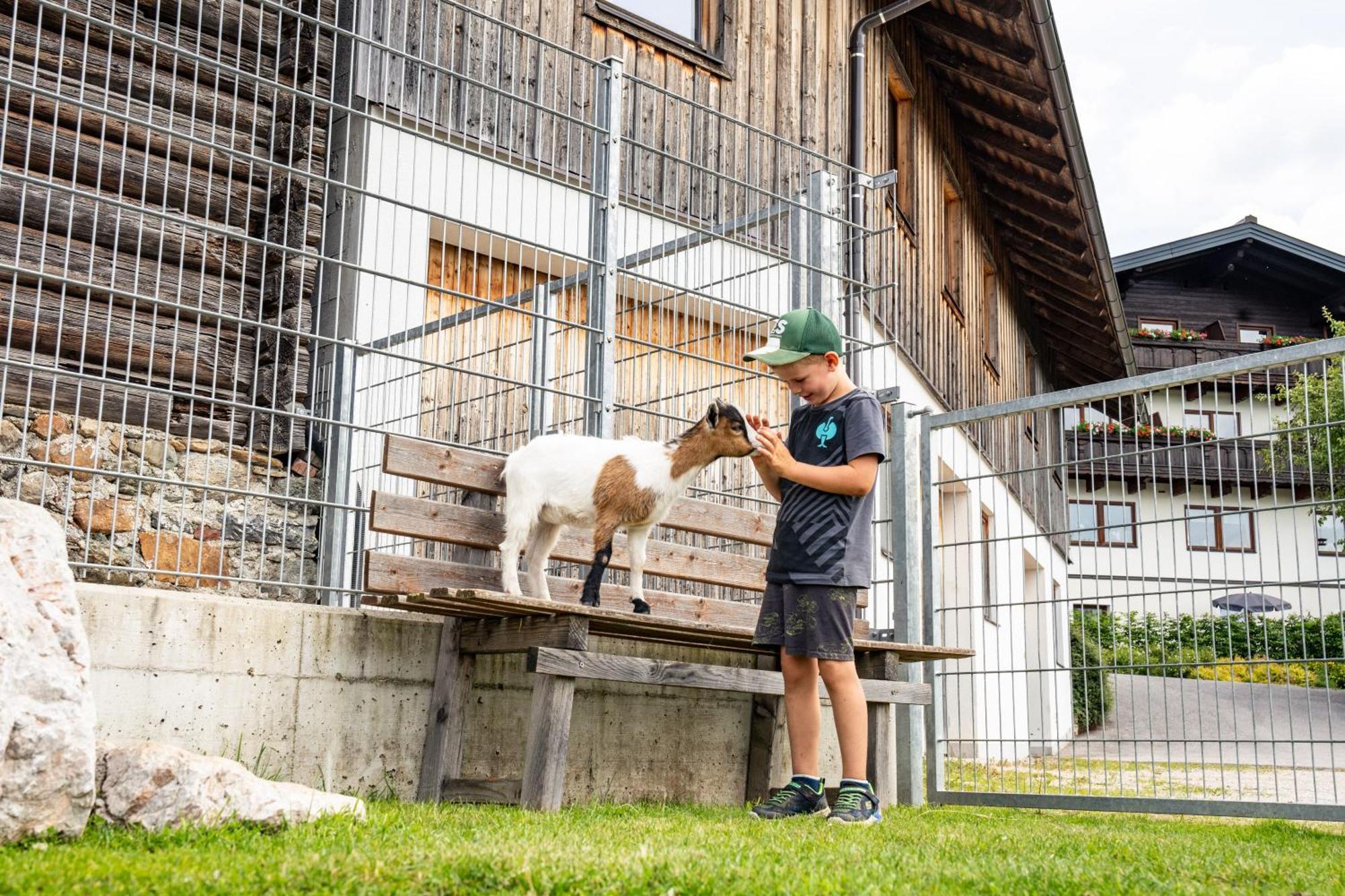 Hornergut Lägenhet Altenmarkt im Pongau Exteriör bild