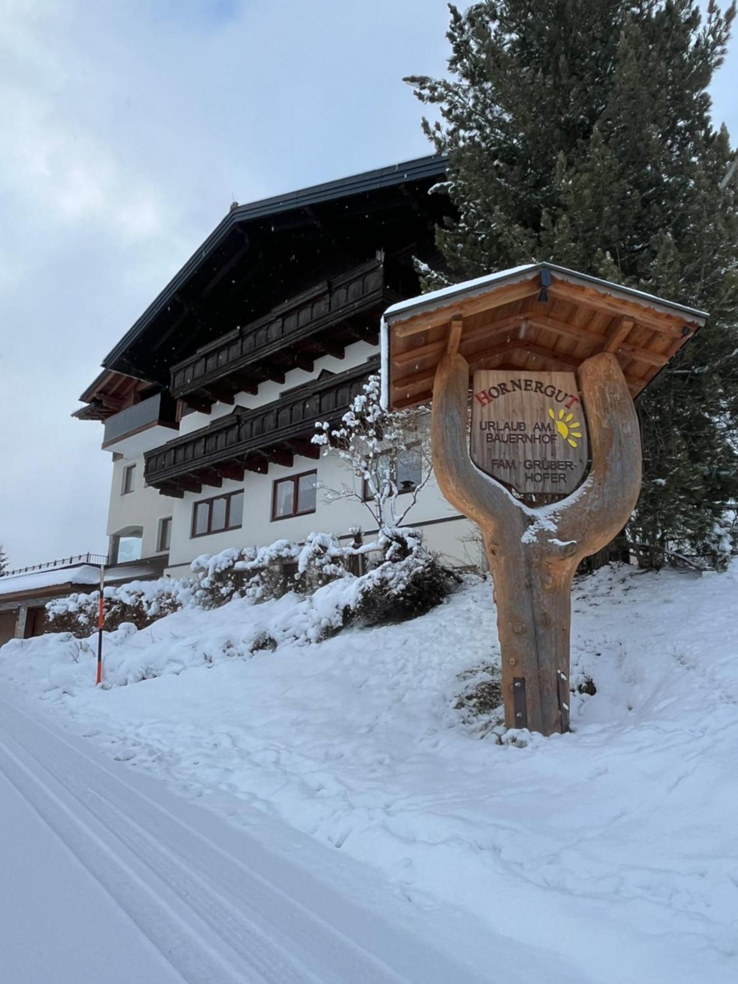 Hornergut Lägenhet Altenmarkt im Pongau Exteriör bild
